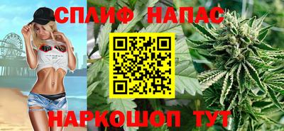apvp Гагарин